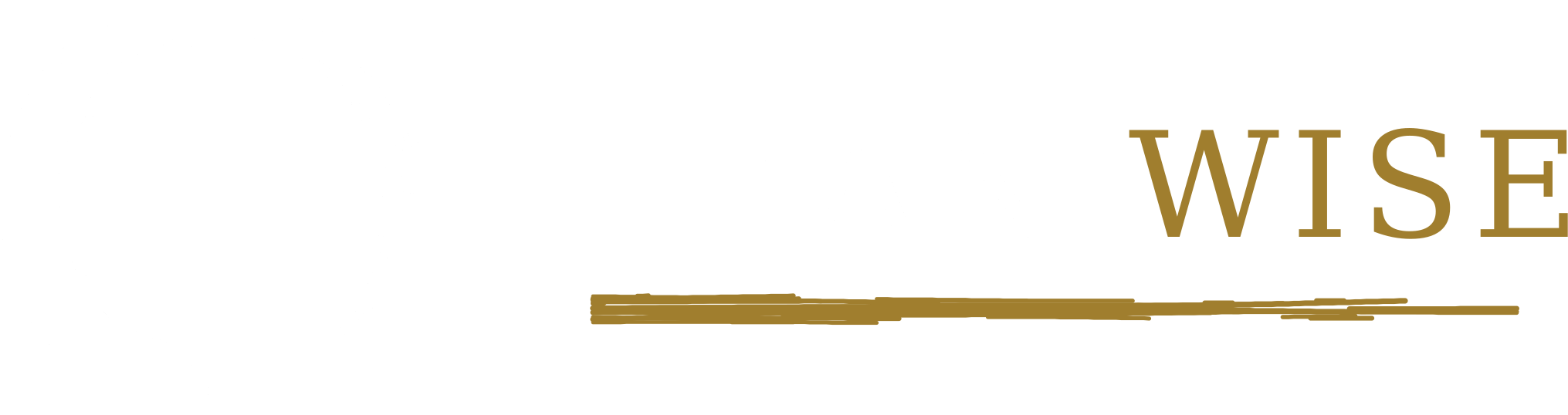Lean Wise